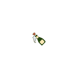 Bottle with Popping Cork zoom
