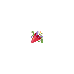 Party Popper zoom