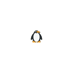 Penguin zoom