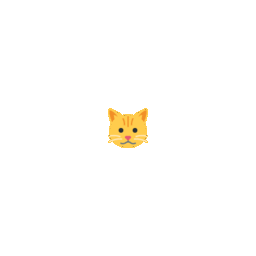Cat Face zoom