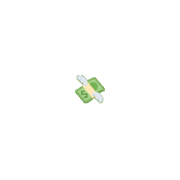 Money with Wings zoom